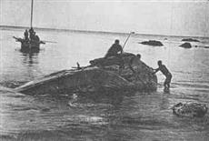 網捕鯨 11尋のナガスクジラ 浮津 明治30年代 網捕鯨 11尋のナガスクジラ 浮津 明治30年代