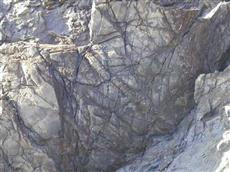 生痕化石(カニ類の匍行あと) 生痕化石(カニ類の匍行あと)