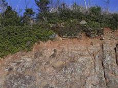 四万十帯の基盤と堆積層 四万十帯の基盤と堆積層