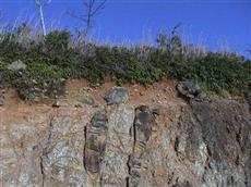 四万十帯の基盤と堆積層 四万十帯の基盤と堆積層