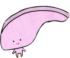 きりみちゃん