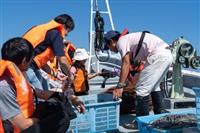 深海生物漁業体験